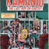 Kamandi/TMNT<br>Pitch Art<br>Issue 16 Cover Homage<br>Pencil Study<br>11x17 - Image 2
