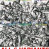 BATMAN/TMNT V2<br>FEWII exclusive Variant Covers<br>6 connecting comics