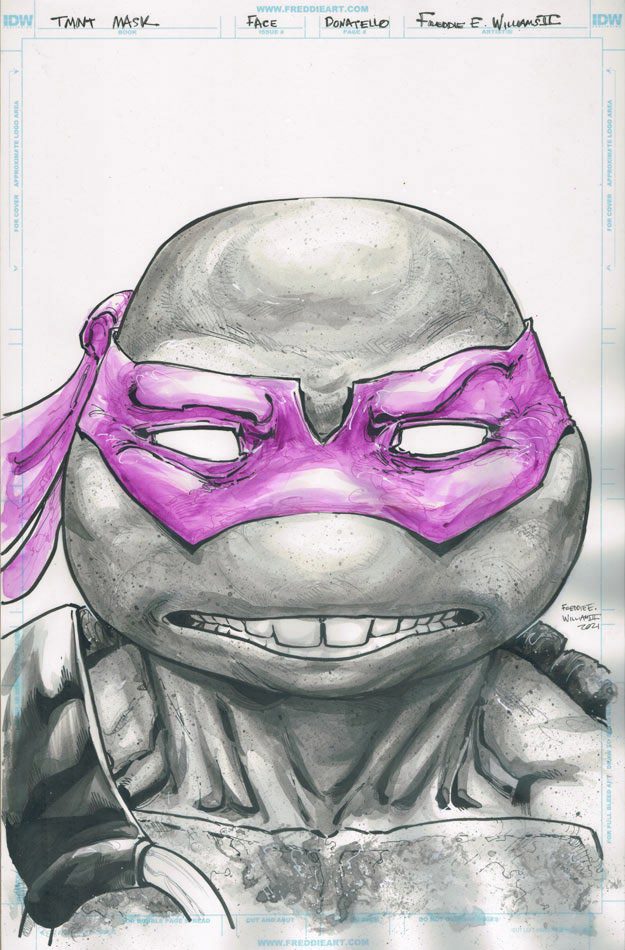 Teenage Mutant Ninja Turtles with Purple eye mask