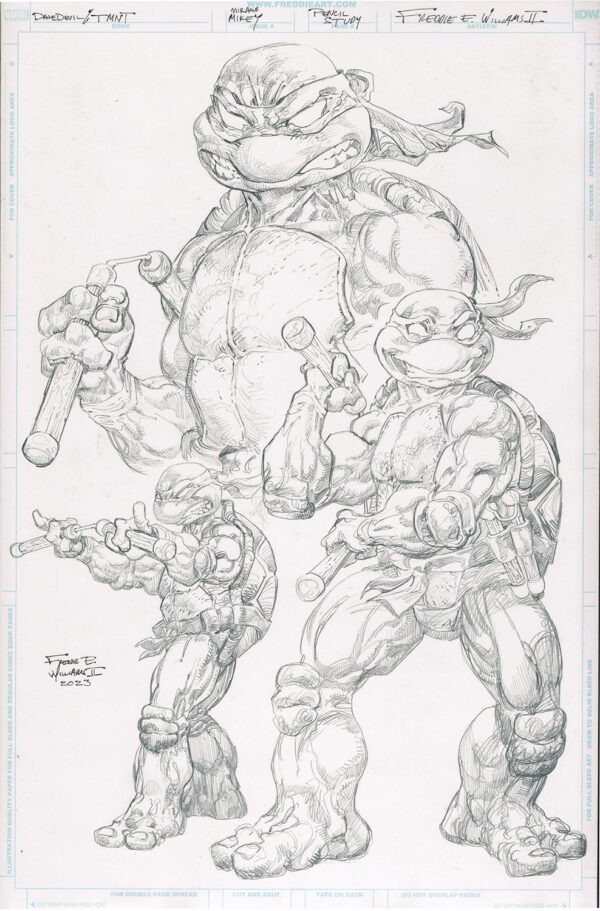 Daredevil / TMNT Pitch Mirage TMNT Michaelangelo Study