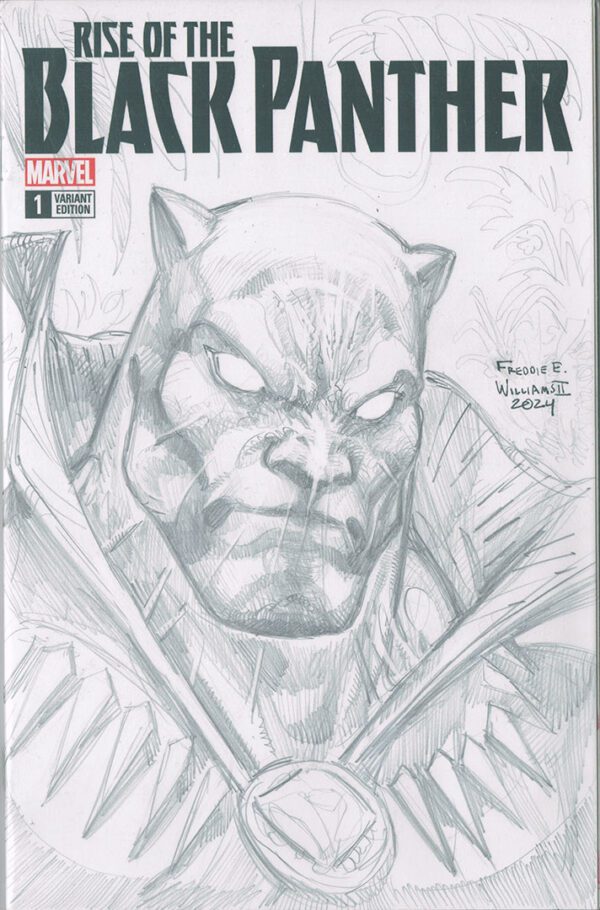 Black Panther Pencil Head Sketch on Black Panther Blank