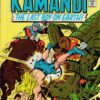 Kamandi/TMNT<br>Pitch Art<br>Issue 14 Cover Homage<br>Pencil Study<br>11x17 - Image 2